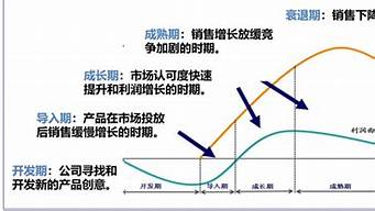 电商产品生命周期管理：如何制定有效的市场策略？(电商行业生命周期)